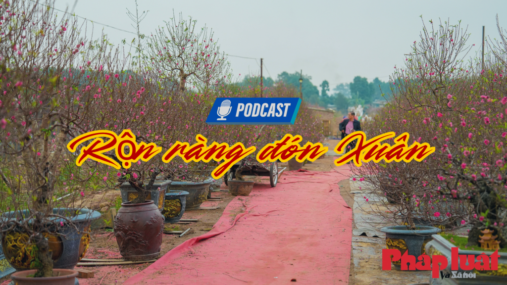 Rộn ràng đón Xuân